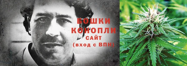 бошки Няндома