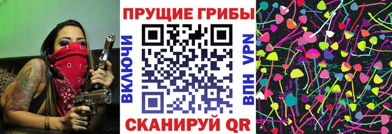 mega как войти  закладка  Абаза  Псилоцибиновые грибы мухоморы 